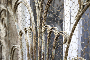 Wall Mural - Rusty wrought iron fence