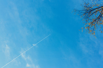 Wall Mural - plane in the sky, blue sky, abstract background, copy space