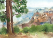 Landscape Grand canyon American nature mountain forest watercolor painting illustration 