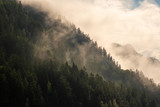 Fototapeta Las - Cloudy mountains on the Telemark canal in Norway on a summer morning