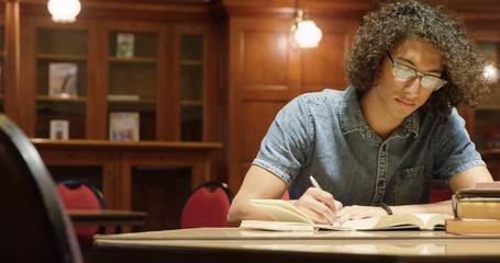 Wall Mural - man studying in the library