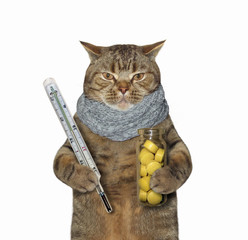 The beige cat in a grey knitted scarf around his neck is holding a thermometer and a bottle of yellow pills. White background. Isolated.