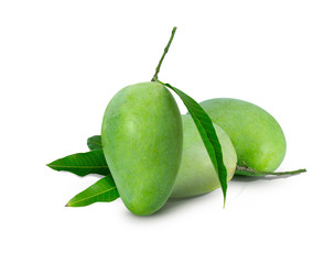 Fresh green mango and leaves with shadow isolated on white background for graphic design