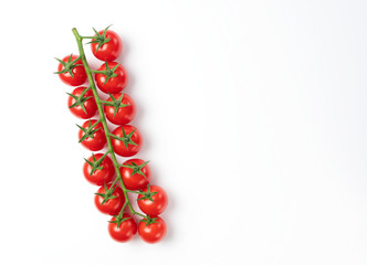 Tomatoes on a white background