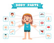 © Colorfuel Studio - happy cute kid girl body part anatomy