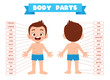 © Colorfuel Studio - happy cute kid boy body part anatomy