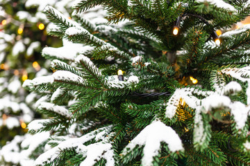 Poster - decorated christmas tree covered by snow outdoors in winter