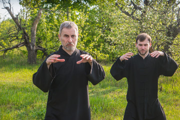 master and disciple of tai chi practice gymnastics in a blooming garden