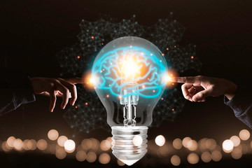 Wall Mural - Two hands touching the virtual light bulb with brain. Creative new business idea concept.