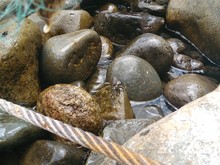 Close-up Of Wet Pebbles