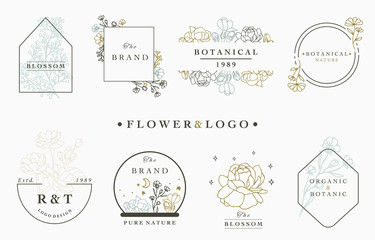 Wall Mural - flower logo collection with leaves,geometric,circle,square frame.Vector illustration for icon,logo,sticker,printable and tattoo