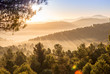 © Adrian Azorin - Quiet dawn with fog and sunshine passing through the trees on the mountain