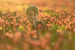 Thinking boy with a bouquet in a clover field. Backlight in golden hour. One boy