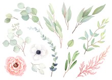 Set Of Flowers Rose And White Anemone, Leaves And Branches In Vintage Watercolor Style. Vector Floral Illustration For Design Wedding Card, Invitation, Greeting Card, Wrapping Paper.