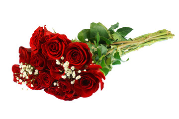 Fotomurales - fresh red roses in a bouquet isolated on white background