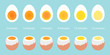 vector set of eggs on blue background