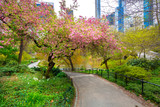 Fototapeta Miasta - Central Park, Manhattan, New York City in spring