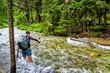 © Kristina Blokhin - Man crossing fording river on Conundrum Creek Trail in Aspen, Colorado in 2019 summer in forest woods with strong current and deep water