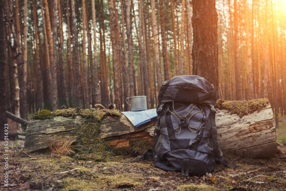 Tourist backpack, metal mug and map in the forest. Concept of a hiking trip to the forest or mountains - obrazy, fototapety, plakaty 