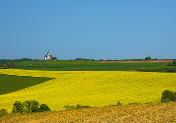 Slovenian countryside in spring with charming little church on a hill and flowering rapeseed field, in Slovenia