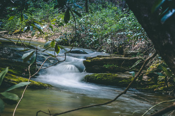 waterfall in the woods