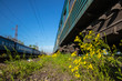 © Дмитро Ганжеєв - Railway