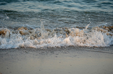 wave splash sea beach macro