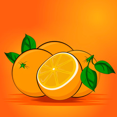 Poster - Juicy oranges. Four oranges and leaves.