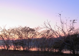 日本の田舎の風景　12月　川辺の夕景グラデーション　水鏡