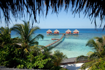 tropical beach with palm trees, villas and blue sky, Maldives