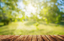 A Wooden Table And Spring Forest Background