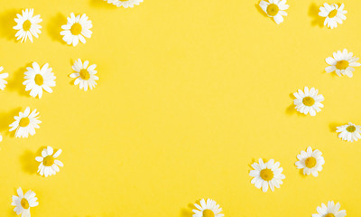Wall Mural - Beautiful flowers composition. Pattern of white daisy. Chamomile on yellow background. Summer flowers concept. Flat lay, top view, copy space