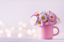 Bouquet Of Beautiful English Daisy In Pink Cup Against Sparkle Lights Background. Template Of Greeting Postcard.