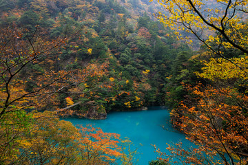 Wall Mural - beautiful nature landscape emerald river in middle of the valley autumn season in japan.