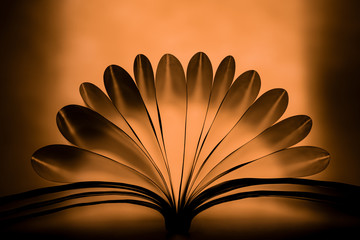 silhouettes of orange light hitting the back of book pages folded like flower shape. seamless abstract wallpaper. book papers like lotus flower 