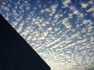 Wall Mural - blue sky cirrocumulus astrocumulus clouds with modern building background