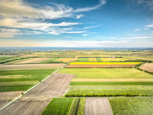 Scenic View Of Agricultural Field Against Cloudy Sky