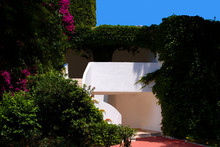 Mediterranean White House Entwined With Ivy In Beautiful Bougainvillea Flowers