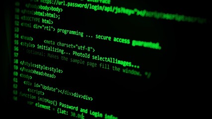 Wall Mural - computer code programming coding process