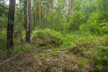 Wall Mural - Old abandoned emerald gems mine open pit in forest