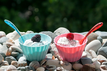 Two bowls of ice cream with raspberry and dewberry on beach stones