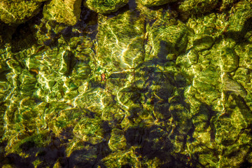 Lake water rocks light Dobrota Montenegro green nature trip travel summer