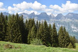 Fototapeta Na ścianę - Naturlandschaft in Flumserberg in der Schweiz 17.5.2020