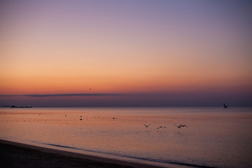 Wall Mural - sunrise on the beach, fabulous color of the sky and the waves of the desert sea