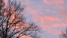 Spring Soft Pink Sunset With Place For Text