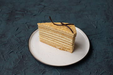 honey cake decorated with two spirals of chocolate;  sweet biscuit dessert on plate on dark background  (horizontally)