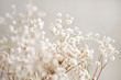 Leinwandbild Motiv Close-up Of White Flowers
