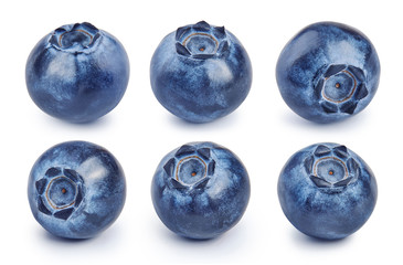 Poster - Set of fresh blueberries isolated on white background. Collection of raw bluberry.