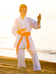 Wall Mural - child exercising karate