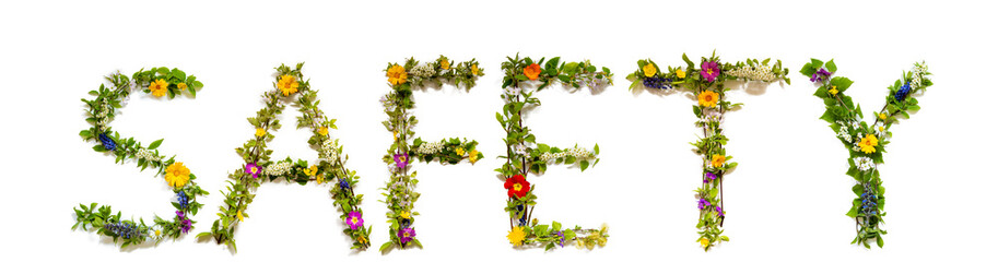 Wall Mural - Flower, Branches And Blossom Letter Building English Word Safety. White Isolated Background